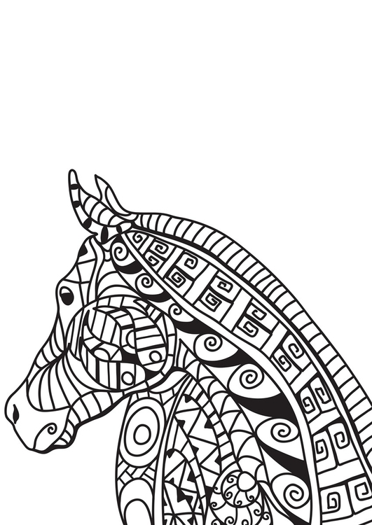 Disegno da colorare testa di cavallo