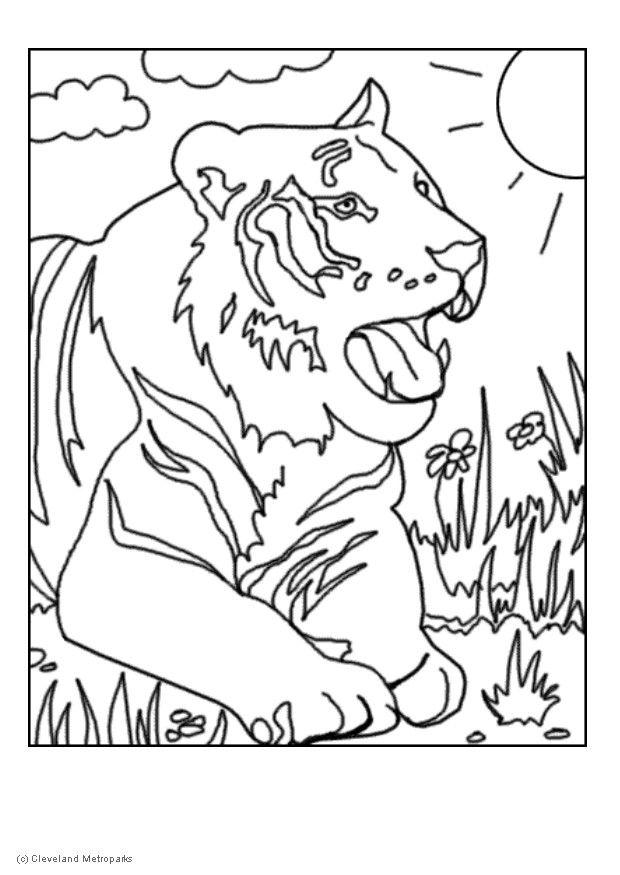 Disegno da colorare tigre