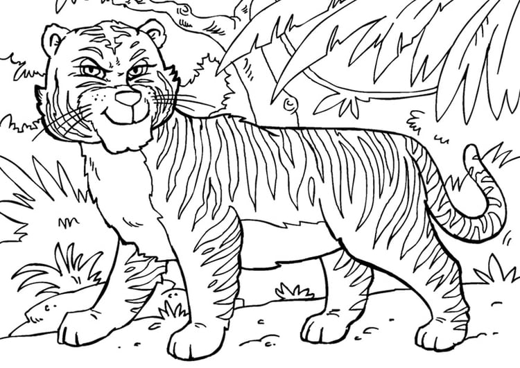 Disegno da colorare tigre