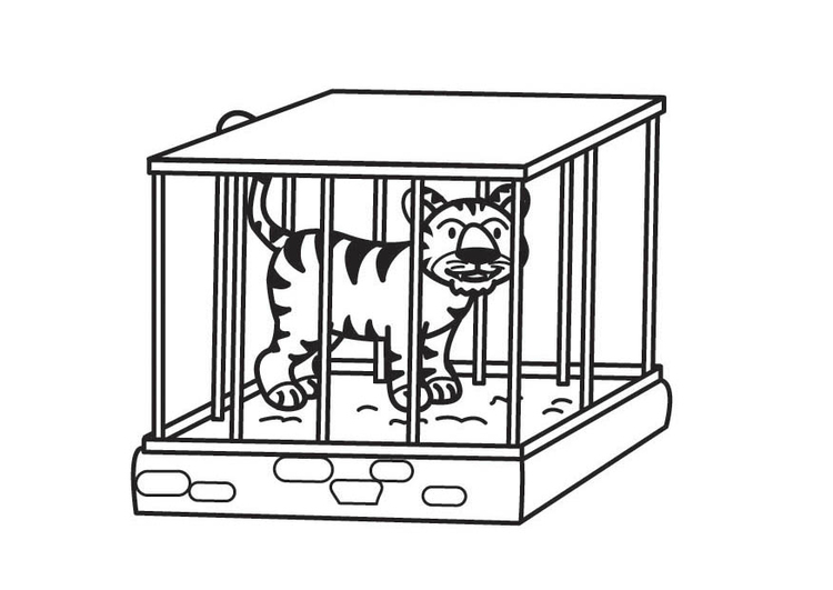 Disegno da colorare tigre in gabbia