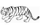 Disegno da colorare tigre