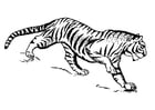 Disegni da colorare tigre