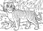 Disegno da colorare tigre