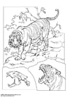 Disegno da colorare tigre