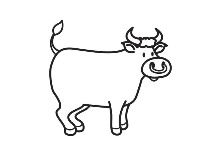 Disegno da colorare toro
