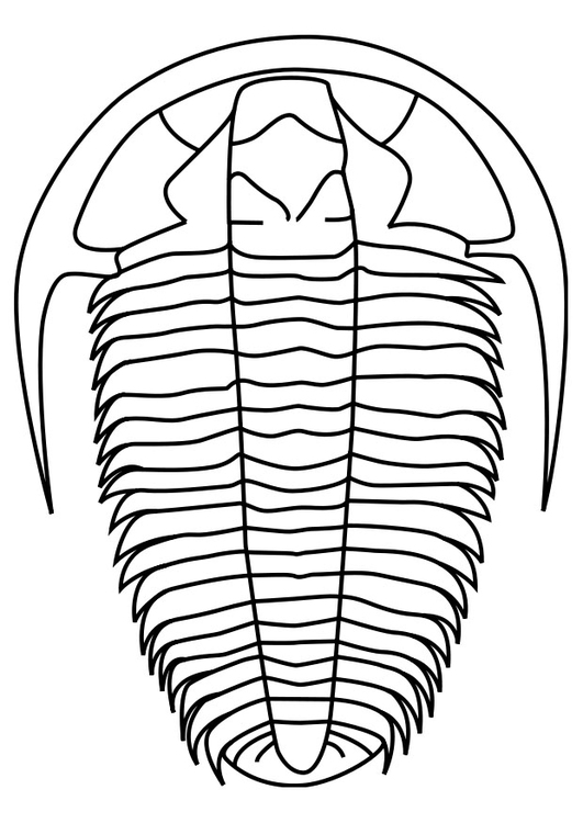 Disegno da colorare trilobite