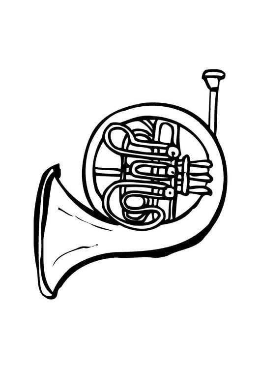 tuba