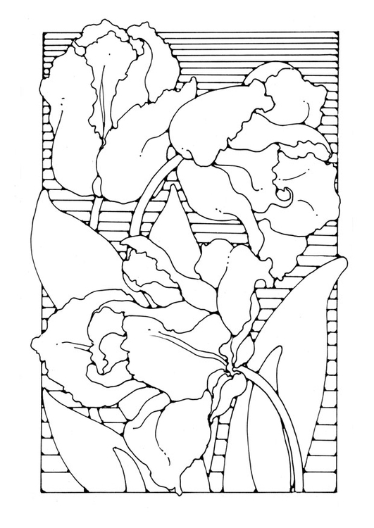 Disegno da colorare tulipani