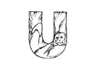 u-uakari