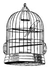 Disegni da colorare uccellino in gabbia