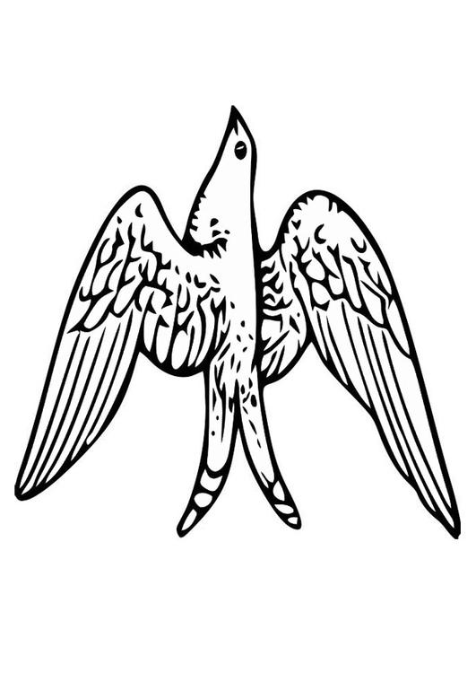uccello in volo