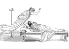 Ulisse - Minerva e la regina