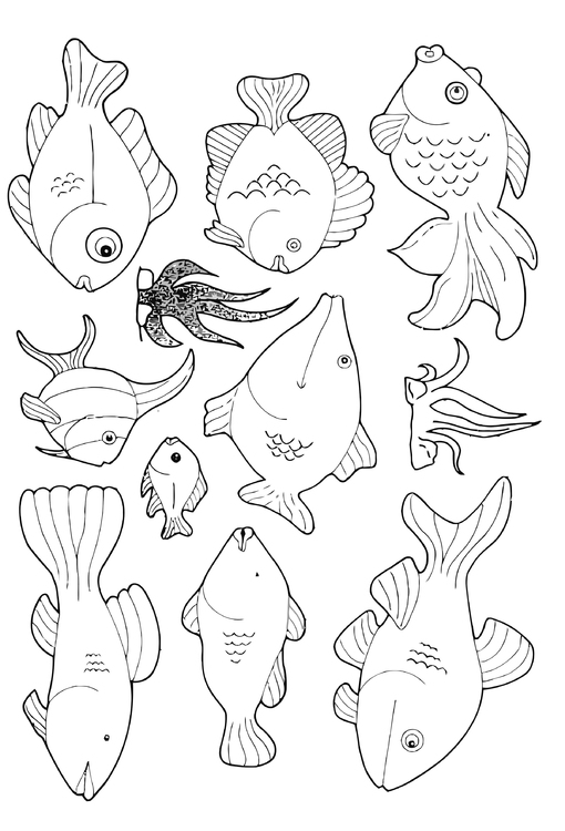 Disegno da colorare un sacco di pesci che nuotano intorno