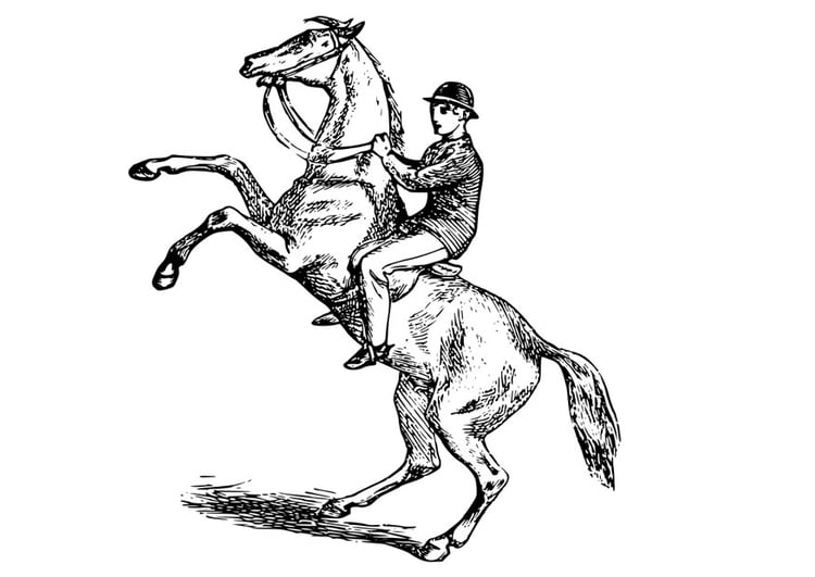 Disegno da colorare uomo a cavallo