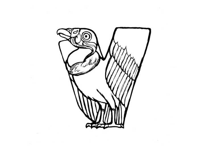 Disegno da colorare v-vulture