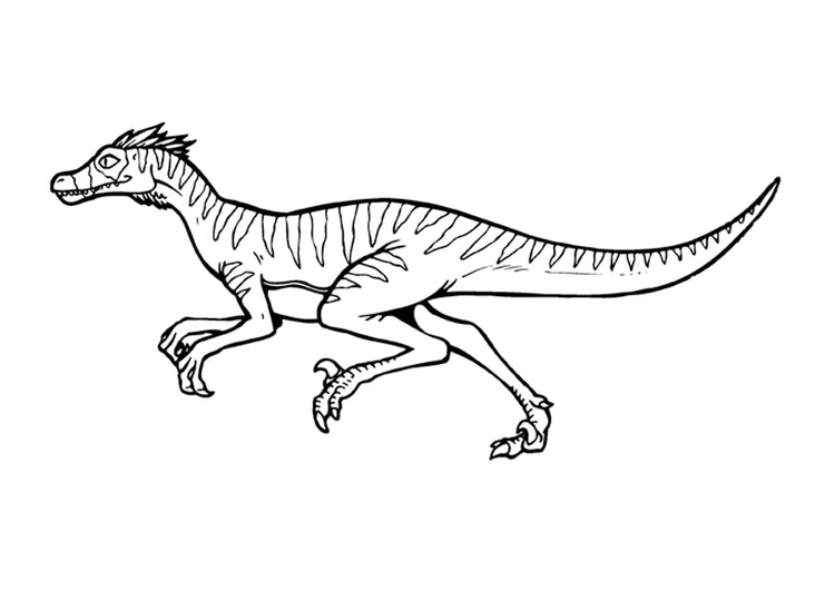 Disegno da colorare velociraptor