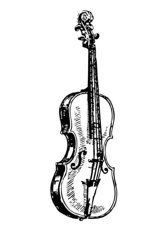 violino