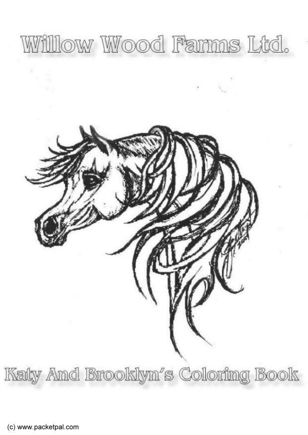 Disegno da colorare Willow Wood Farms cavallo