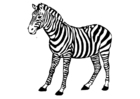 Disegno da colorare zebra
