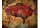 Foto arte preistorica - bisonte