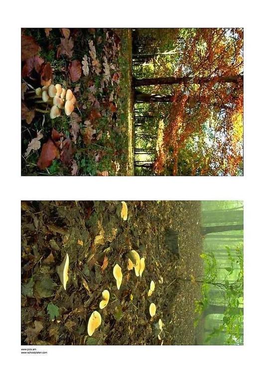 autunno 2