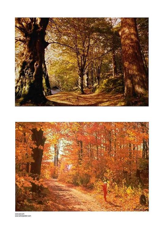 autunno 3