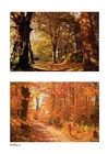 fotografia autunno 3