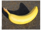 Foto banana