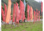 Foto bandiere di preghiera