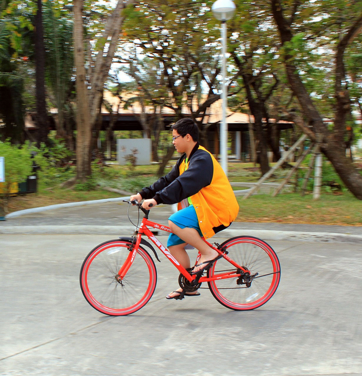 Foto bicicletta