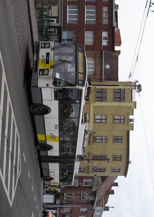bus, Gent, belgio