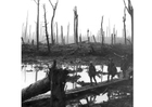 Foto campo di battaglia, prima guerra mondiale