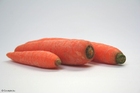 Foto carote