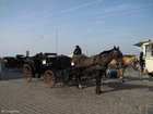 Foto carrozza con cavalli