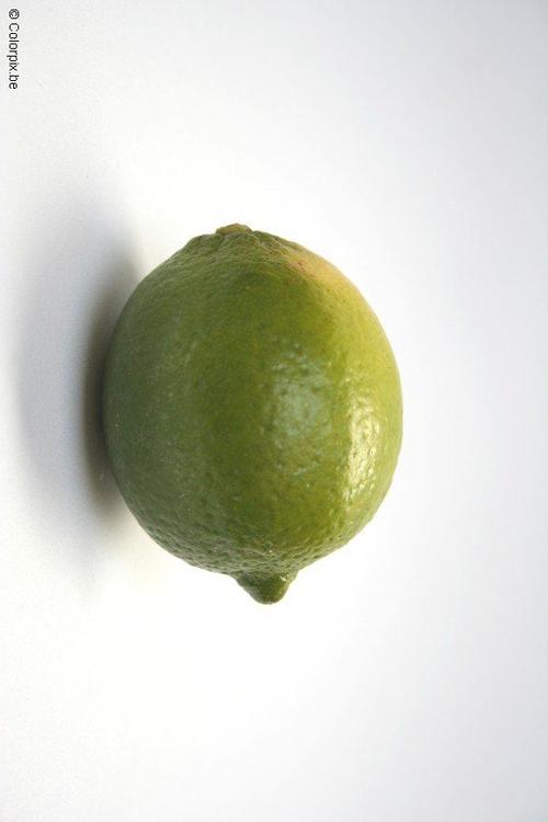 cedro