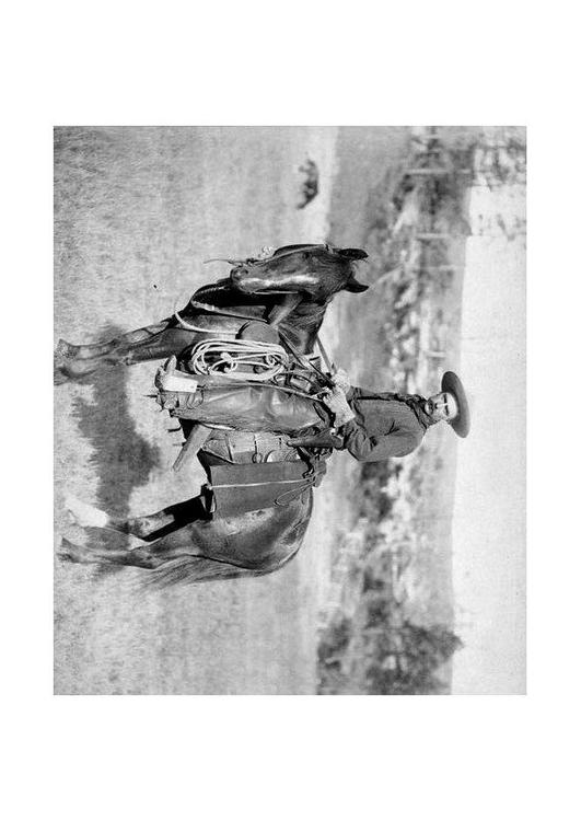 cowboy, 1887 ca.