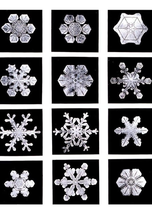 Foto cristalli di neve