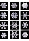 Foto cristalli di neve