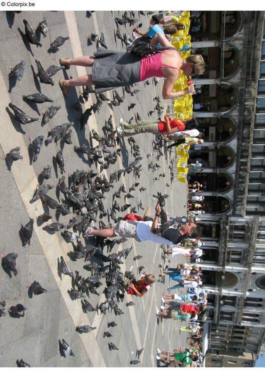 dare da mangiare ai piccioni in Piazza San Marco