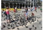dare da mangiare ai piccioni in Piazza San Marco