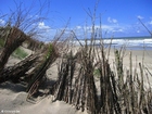 Foto dune 7