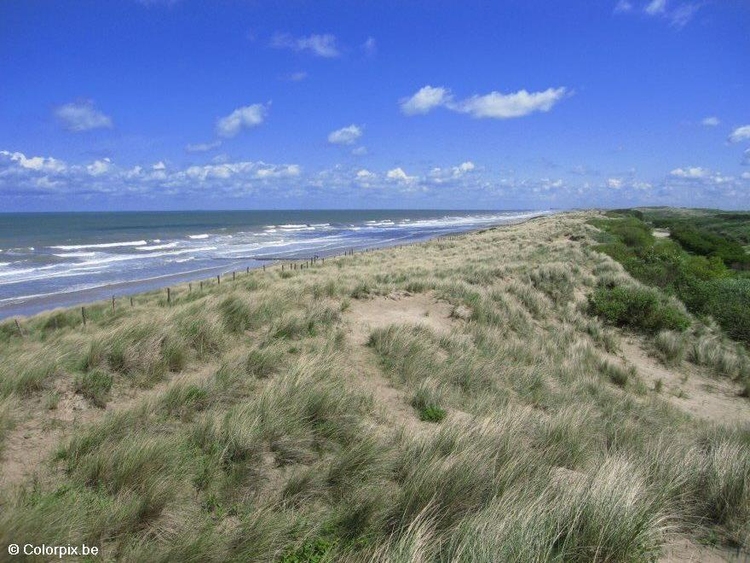 Foto dune costa mare