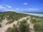Foto dune e la costa 1