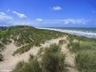 fotografia dune e la costa 1