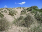 Foto dune