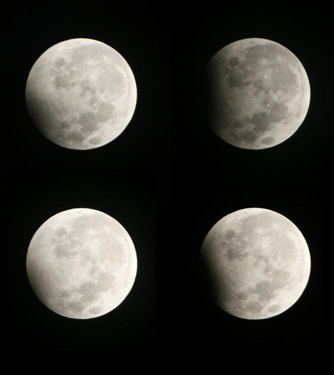 eclissi lunari