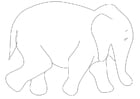 Disegno da colorare elefante