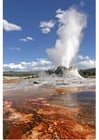 Foto eruzione geyser a Yellow National Park, Wyoming, USA