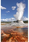 Foto eruzione geyser a Yellow National Park, Wyoming, USA