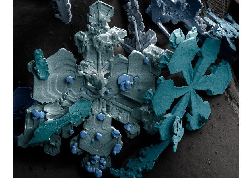 Foto Fiocchi di neve sotto il microscopio